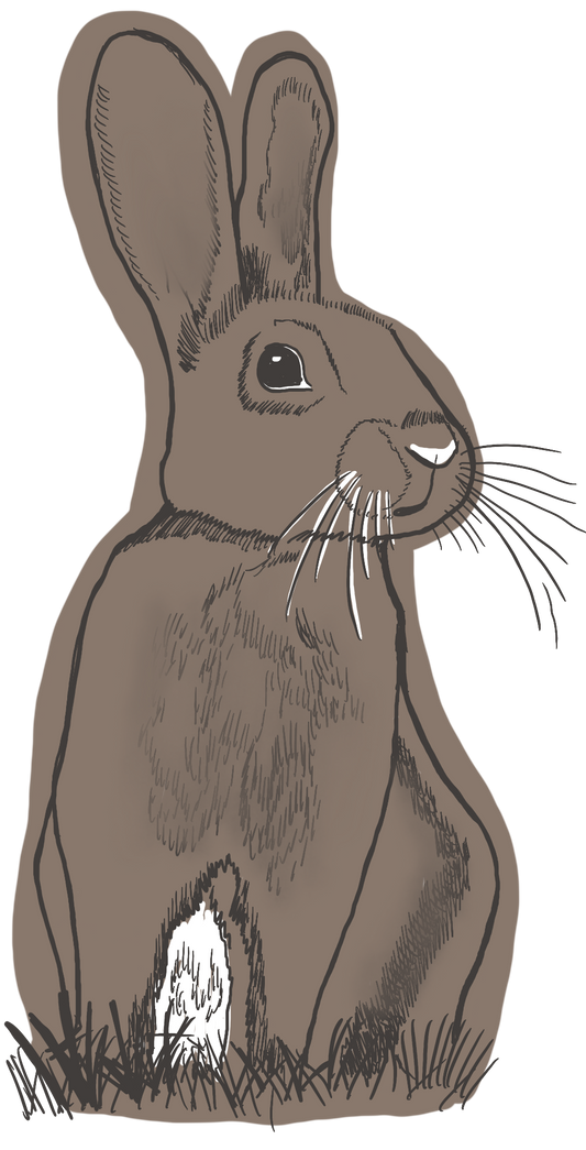 PNG DIGITAL FILE: Rabbit illustration-Woodland Collection