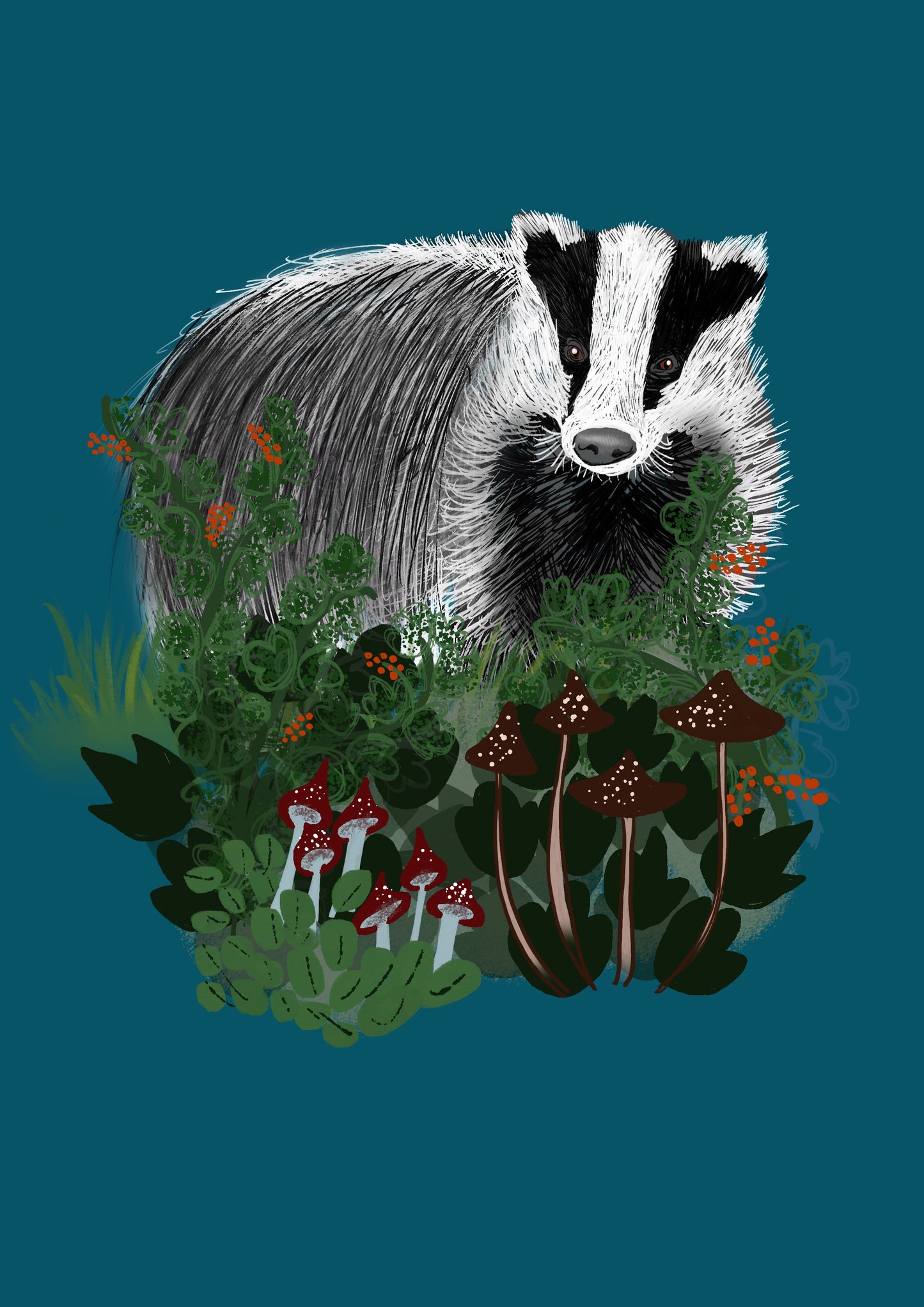 ****** NEW COLLECTION Badgers on teal